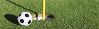 Football golf
