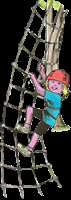 Aventure dans les arbres 2