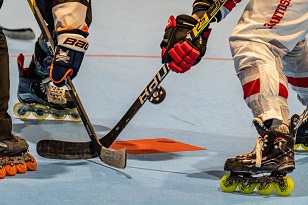 Skater hockey