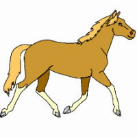 Petite Camargue