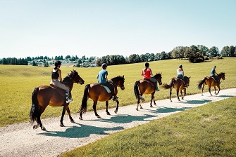 Equitation II - Manège Equinoxe