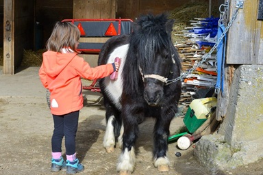 Ferme des Biolles - Jeux à poneys