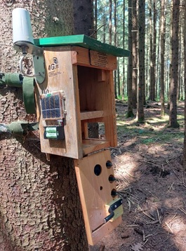Geocaching